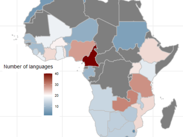 How to calculate a linguistic Herfindahl-Hirschman Index (HHI) with Afrobarometer survey data in R PART 2